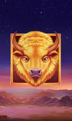 Buffalo's Sun 2